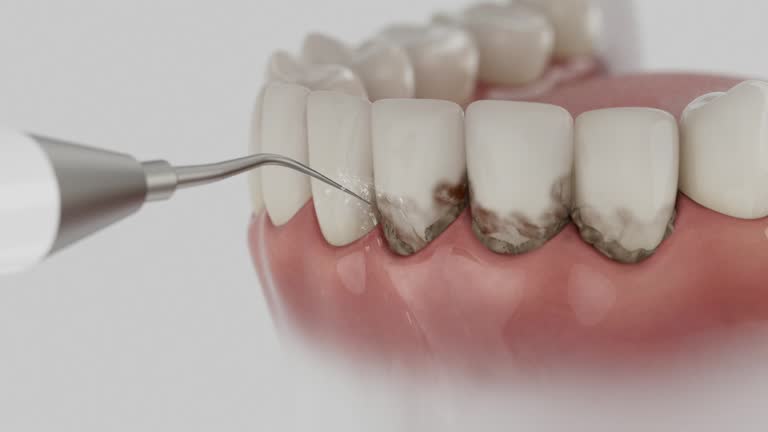 Reliable Dental contractor in Carolina Shores, NC by Dentist Open Now